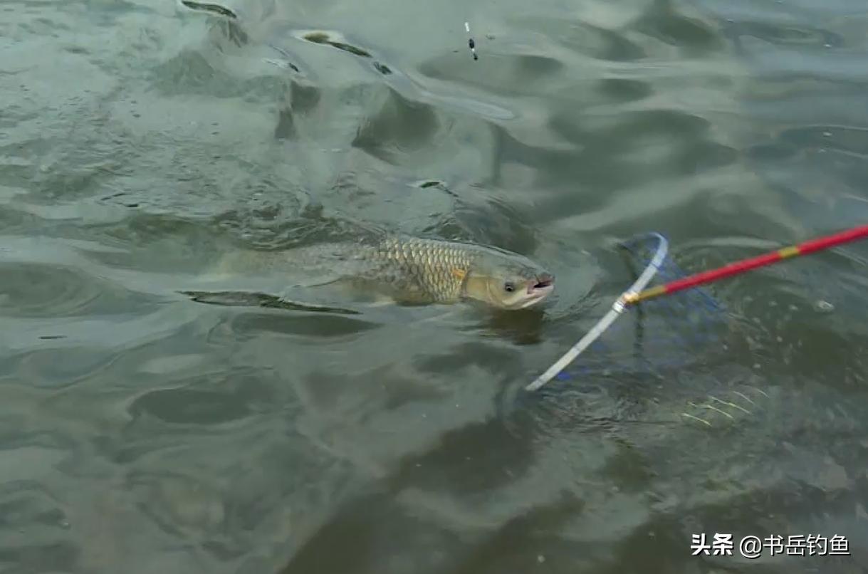 双十一钓鱼用什么钓具好,什么时候买钓具便宜