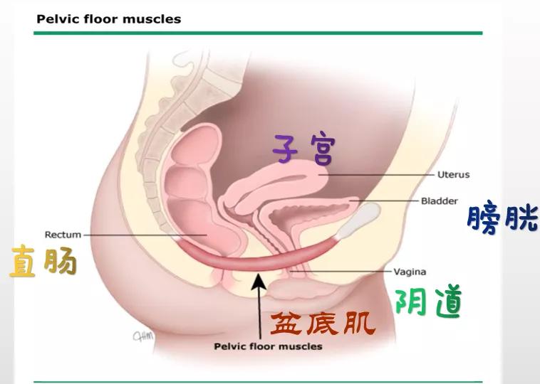 阳痿这个病好治吗,严重阳痿的症状与治疗