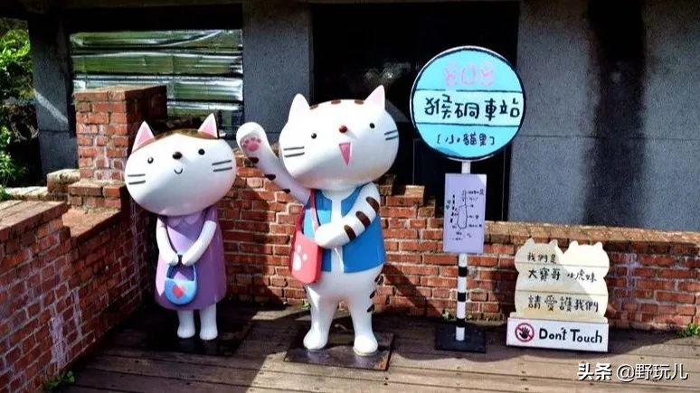 世界上最适合吸猫的城市,吸猫必去的十个地方