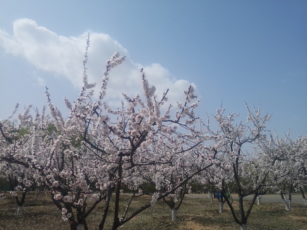 西安浐灞湿地公园内免费游玩推荐,西安浐灞亲子儿童乐园