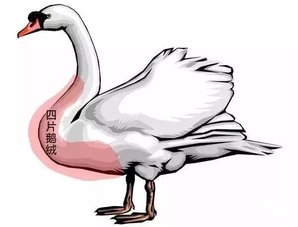 moncler蒙口羽绒服防雨吗,moncler羽绒服如何选