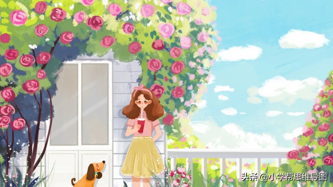 五年级下册语文写读后感秘密花园,秘密花园的阅读感悟100字