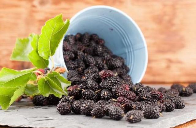 哪八种水果不宜多吃含有寄生虫,水果上的寄生虫对人体有害吗