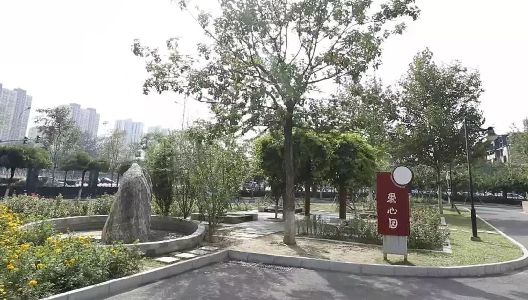 身边的好学校丨北京师范大学奥林匹克花园实验小学：书香花园，培育五色花朵~