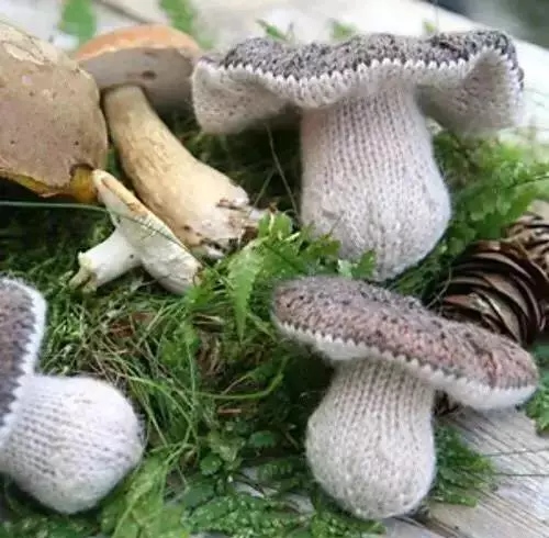 世界上最好看的手工毛线编织,卡卡毛线编织手作视频