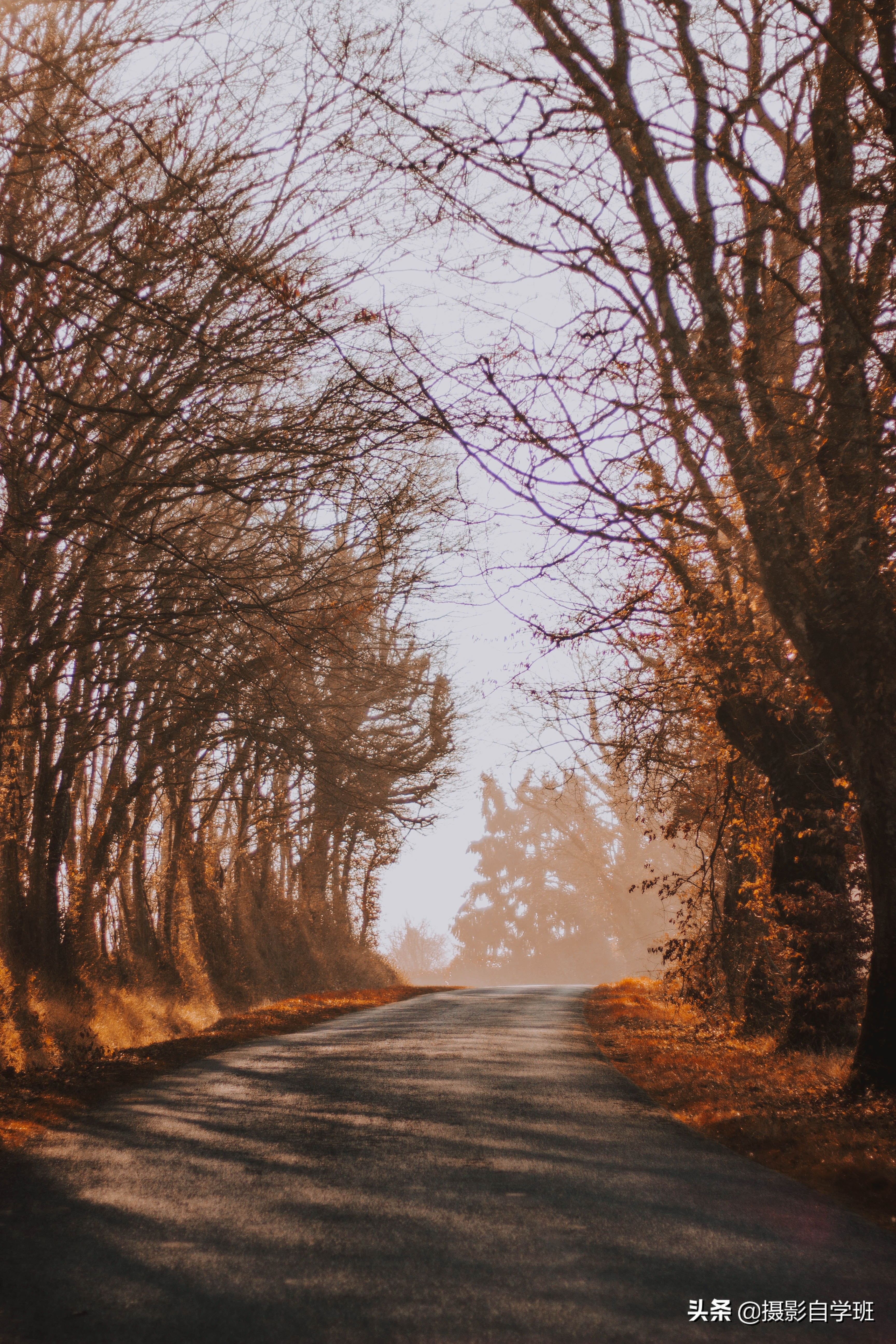 关于风景拍摄的摄影技巧,风光摄影的拍摄技巧