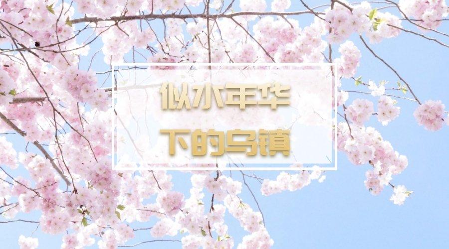 似水年华是在乌镇拍摄的吗,黄磊乌镇似水年华