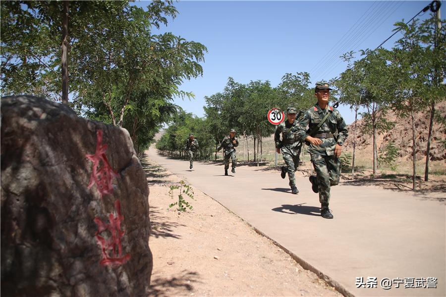 排长的一天工作,实习排长要实习多久