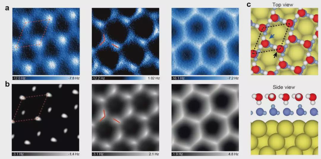 二维家族再添新冰，江颖、王恩哥等证实二维冰的存在