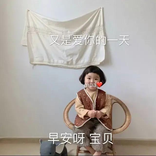 作业满满都是表情包,表情包如何高清处理