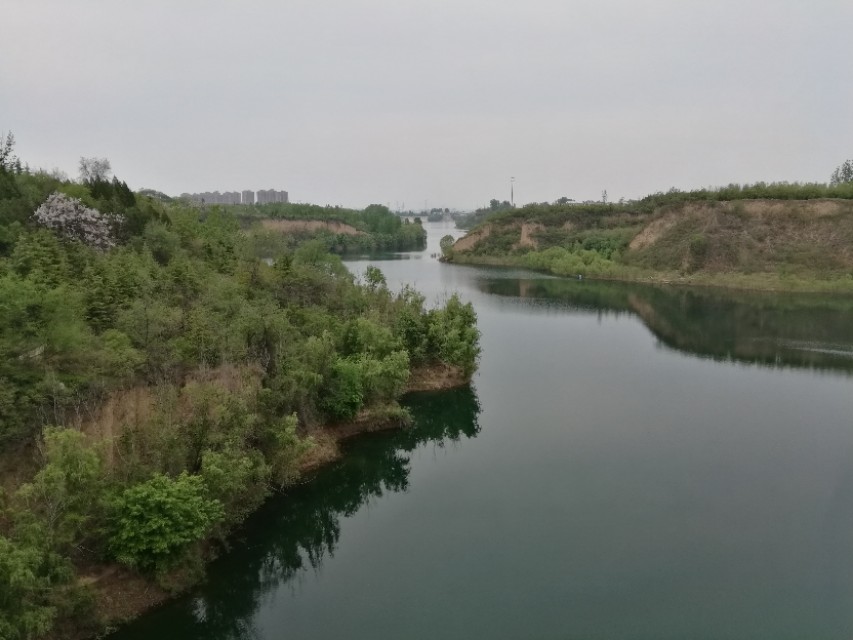 郑州树木园最新视频,郑州树木园现状