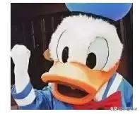 小苍的图片,小苍颜值巅峰照片