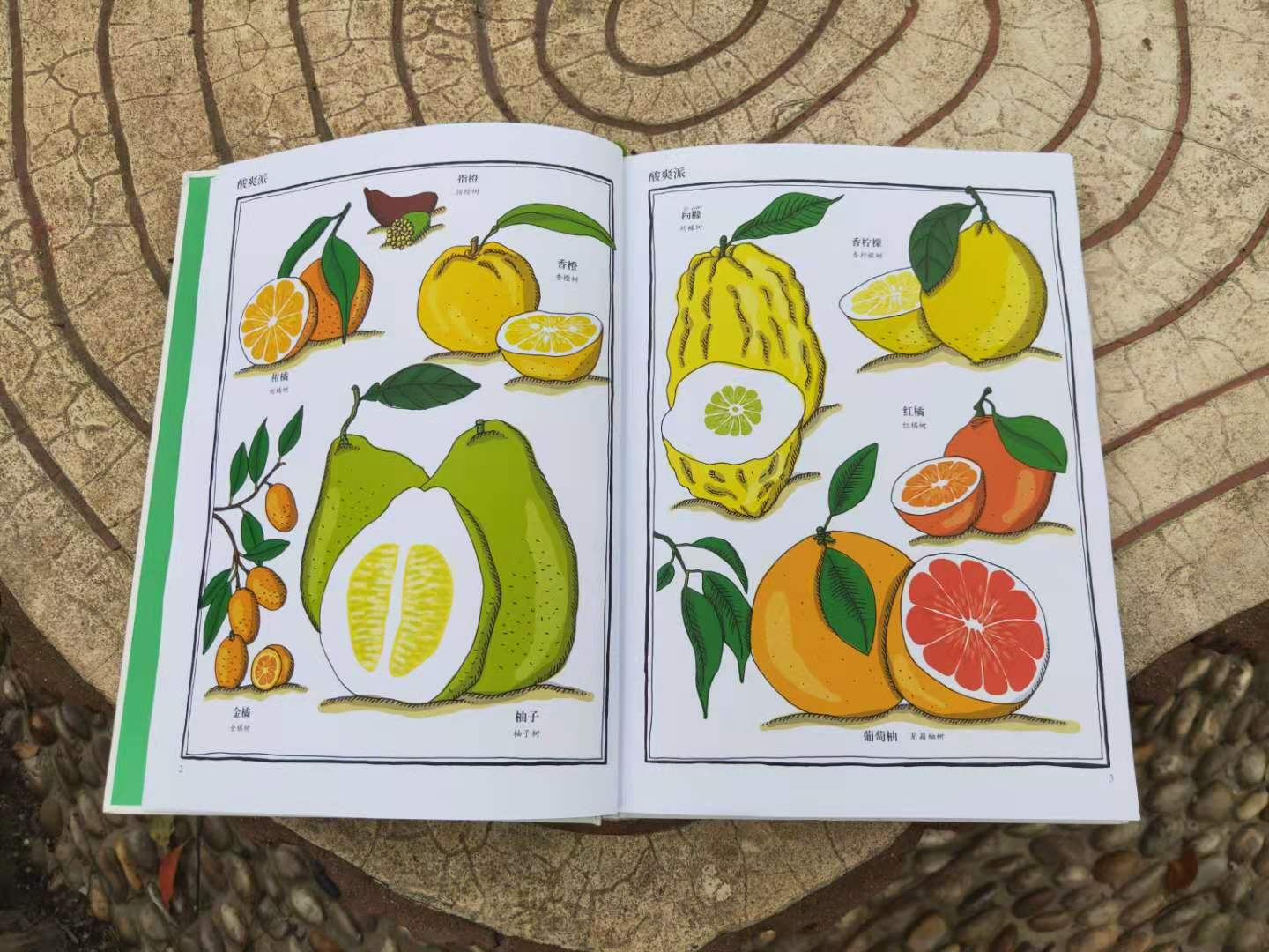 哪些植物有自己的小秘密,植物的朋友圈绘本视频