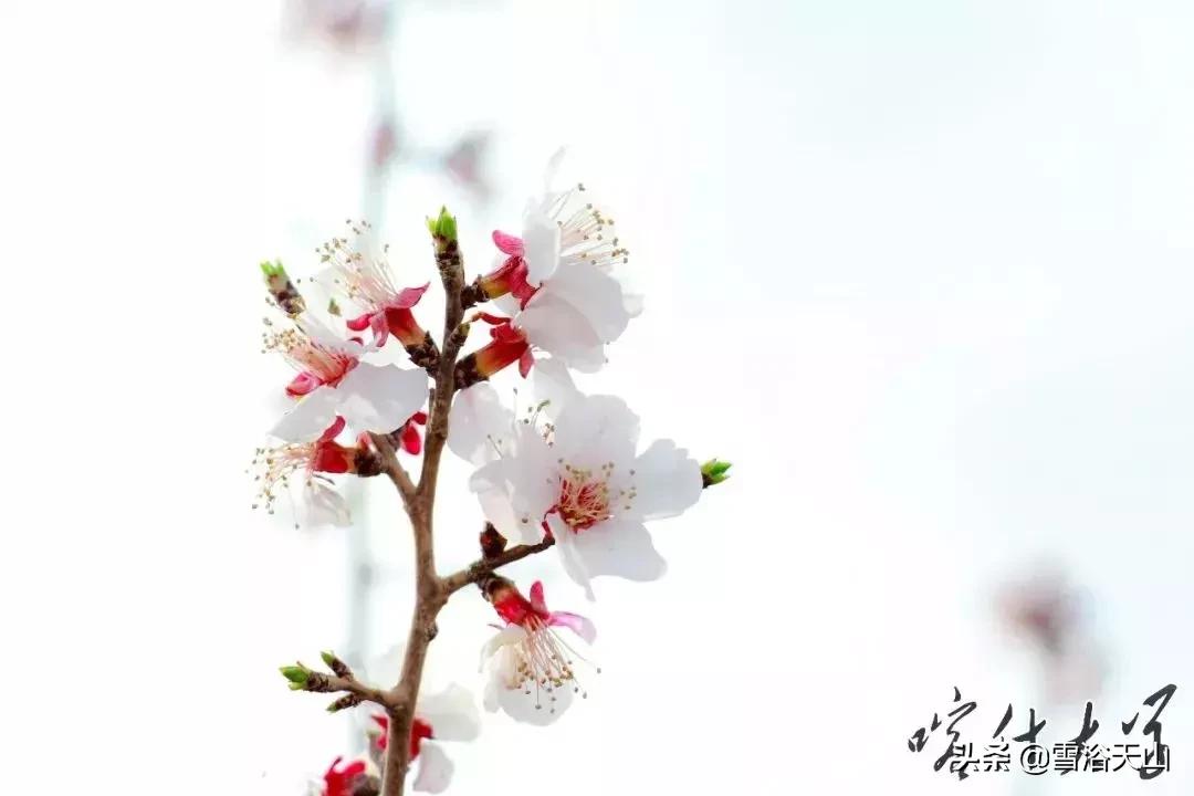 你好，喀什大学！！！中国最西边的大学