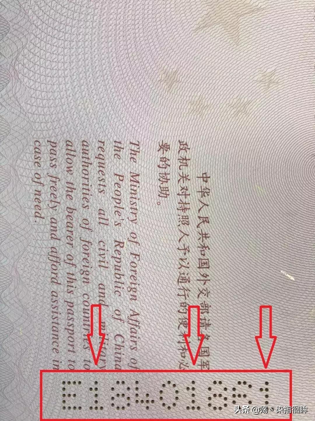 护照号码怎么查看,电子护照在哪里可以查看