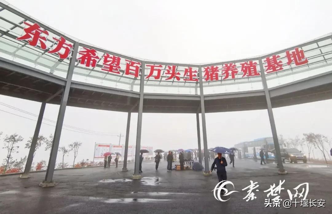 亚波书记带队奔赴十堰这些县市区,现场点评来了!