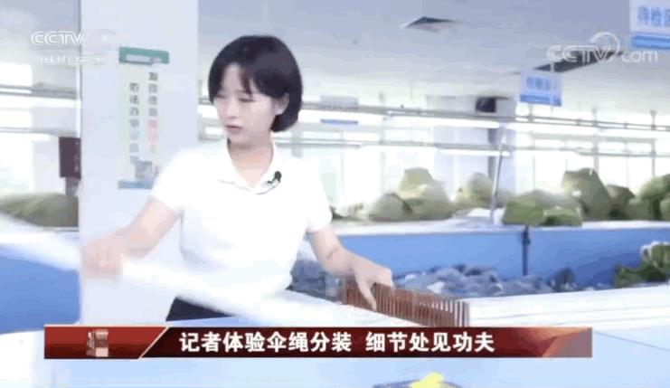 王冰冰庄晓莹张扬跳舞,央视记者庄晓莹和王冰冰