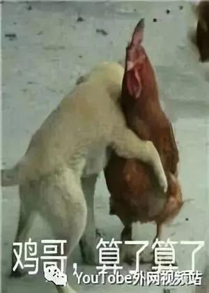 知乎过万热评：女朋友家很有钱是一种什么感觉？