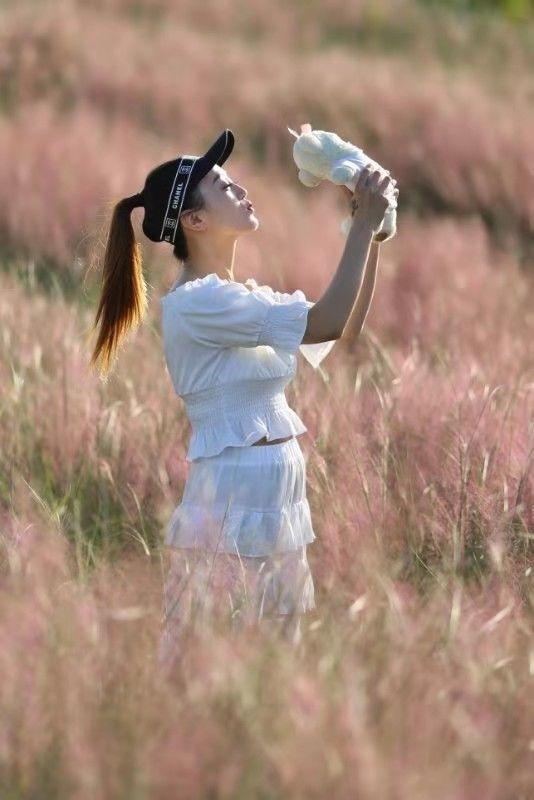 常熟网红基地花海,常熟网红粉黛花海