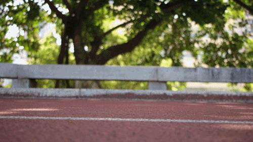 产地福建莆田的球鞋是真的吗,正品球鞋产地却为什么是莆田