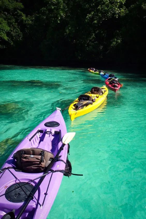 潜水圣地推荐帕劳,帕劳潜水旅游攻略