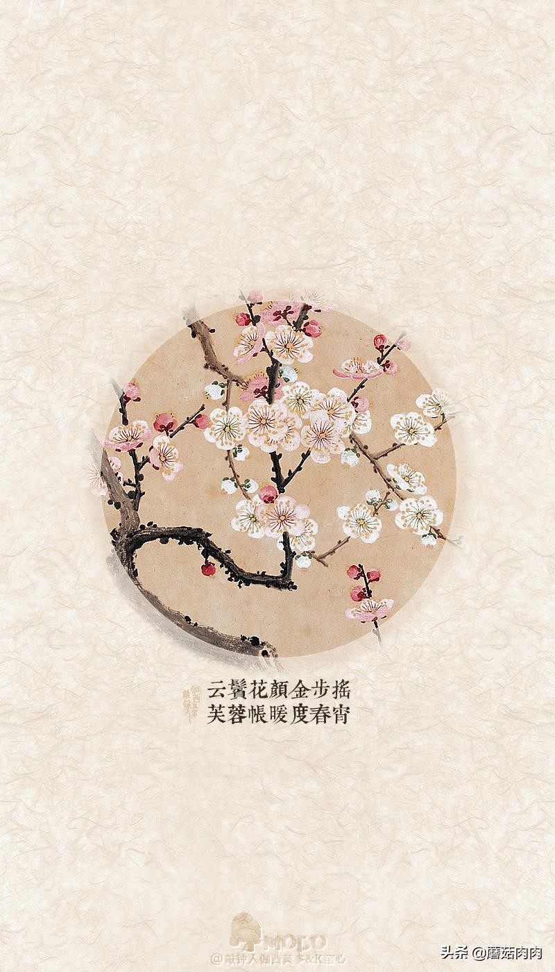 文笔好质量高的言情小说！值得一看！女主娇嫩！