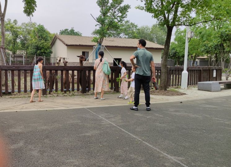 苏州上方山森林动物园网上预约,苏州上方山动物园可以玩一天吗