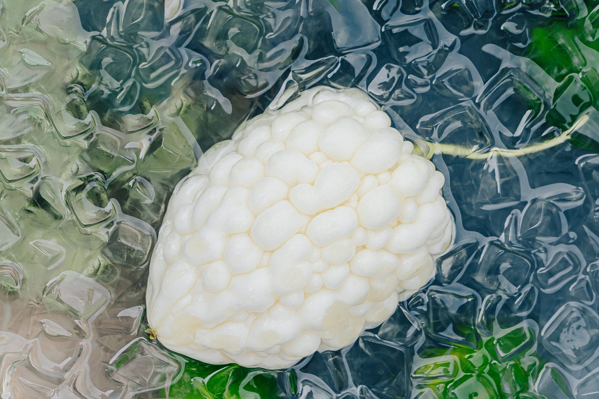 解暑的“冷白皮”苦瓜，TANING挞柠首创宝藏白玉苦瓜柠檬茶上线