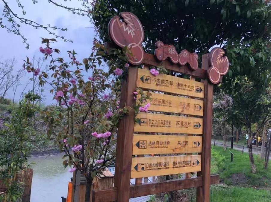 泰州溱湖来自1800米湿地深处云海温泉人文湖景别墅，独享惬意时光