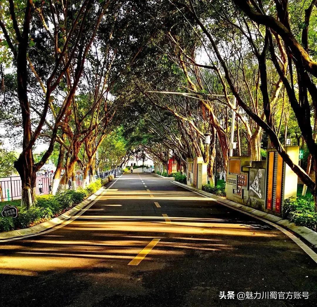 绵阳南山中学办学理念,家长评价绵阳南山中学真实水平