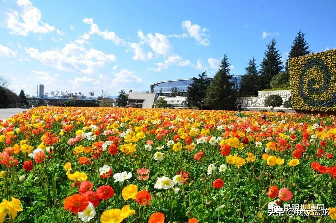 重大利好盘龙城,大城市提升幸福感