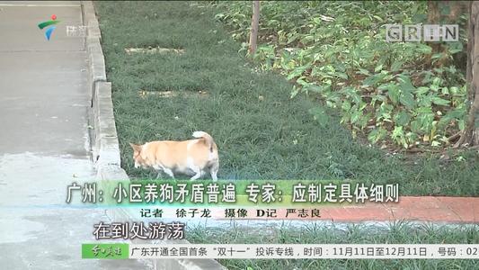 爸妈不让养狗怎么办,小区不让养狗狗狗如何处理