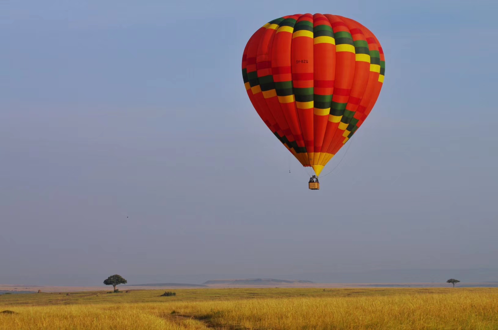 天然维c和药物维c有什么区别,天然维c与药物维c有什么不同的