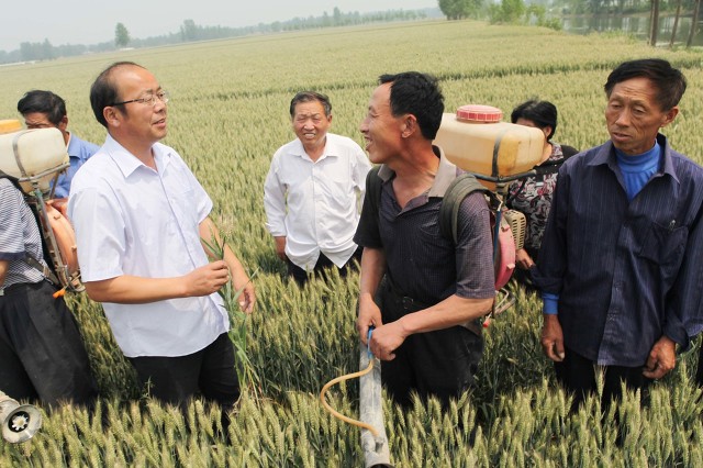 网购一瓶农药,农药经销商卖假农药