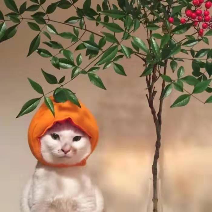 日常推文（六），双初恋，都市，穿越，架空，总有一款你喜欢