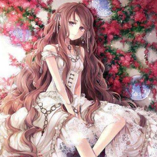 飞卢小说网对比番茄小说,飞卢刺猬猫