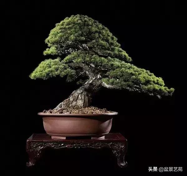 西泠印社砚台最高价拍卖记录,杭州西泠拍卖盆景