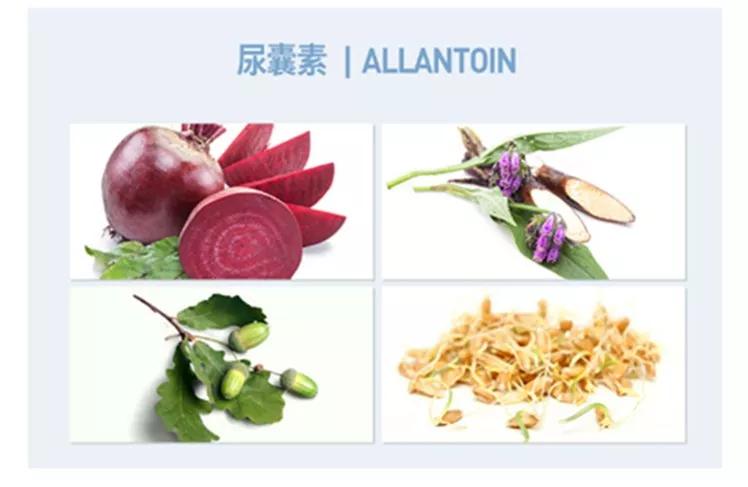 jm蜂蜜面膜的功效与作用,jm面膜补水保湿选哪款