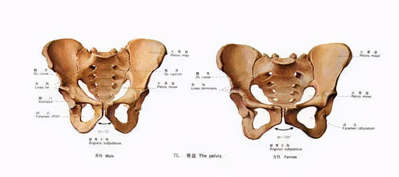 再见爱人综艺夫妻默契,再见爱人完整版综艺第四期