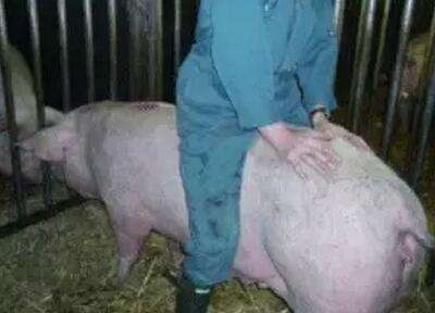 便秘且没有便意如何治疗,便秘没有便意怎么调理