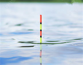 钓鲢鳙全是小的怎么才能钓到大的,钓鲢鳙怎么才能钓到正口