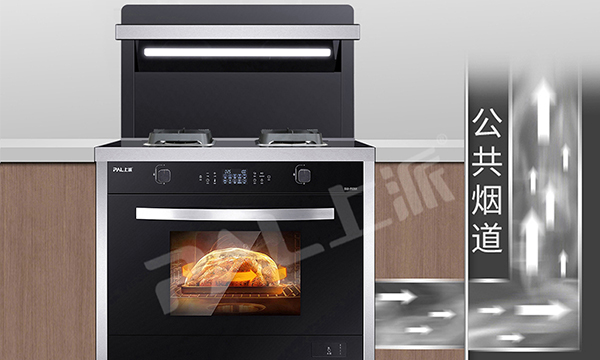 集成灶十大品牌电动,变频旗舰款集成灶