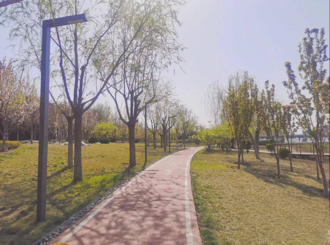 一个不出郑州的踏青好去处,天津春游公园推荐