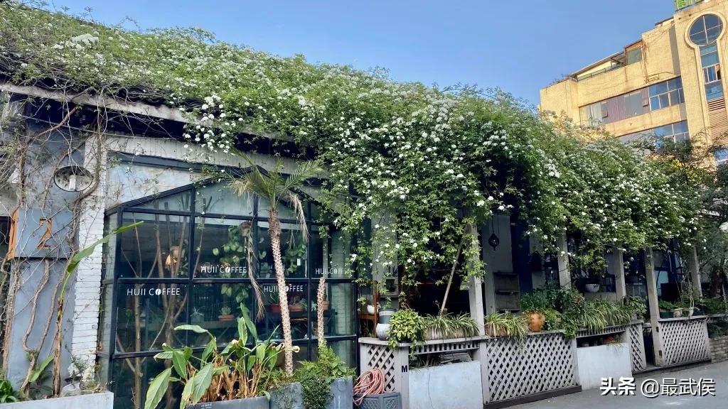 成都318自驾路线必去小众的景点,成都小众但值得去的地方