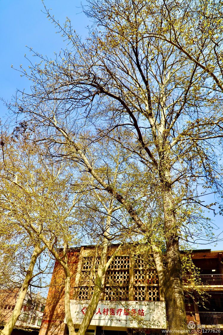 曾经的新安小香港,今日物是人非,探访洛阳水泥厂工人村