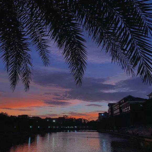 深职院在全世界排多少名,深职院全国最强大专