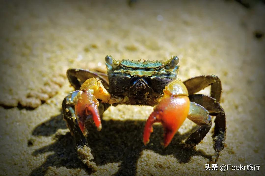 与越南隔河相望,与越南接壤城市旅游