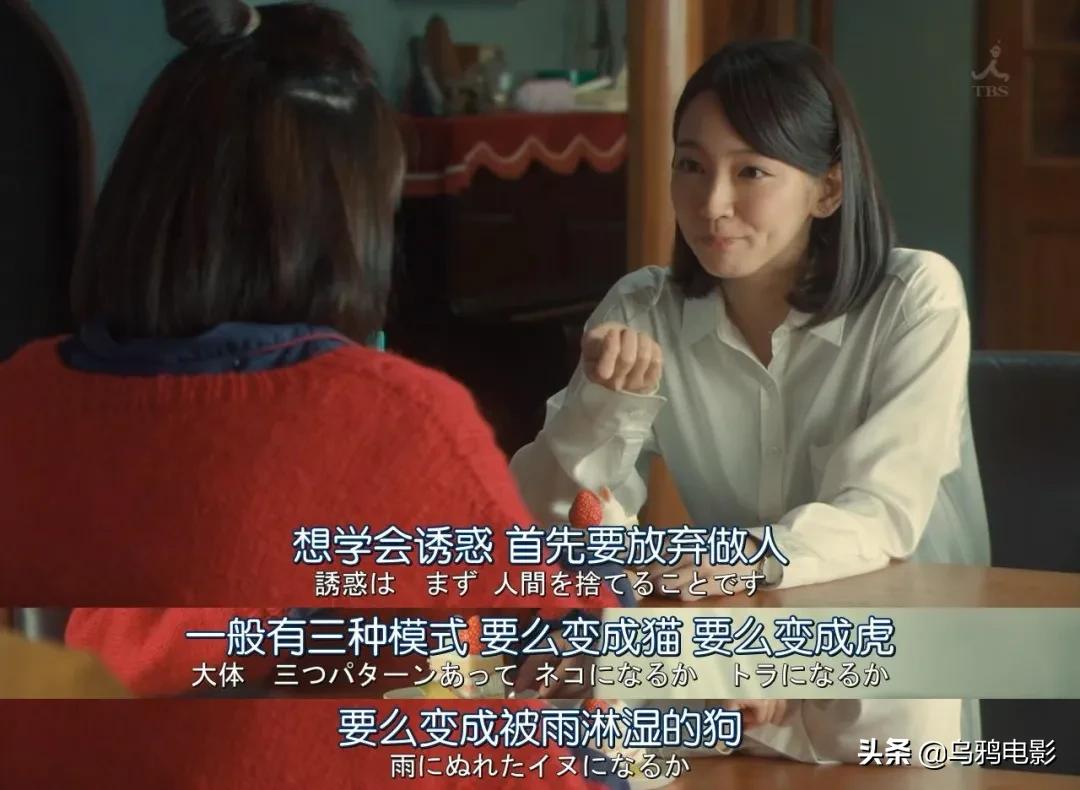 半辈子才等来的卡司!这9.1神作,看了就是赚到