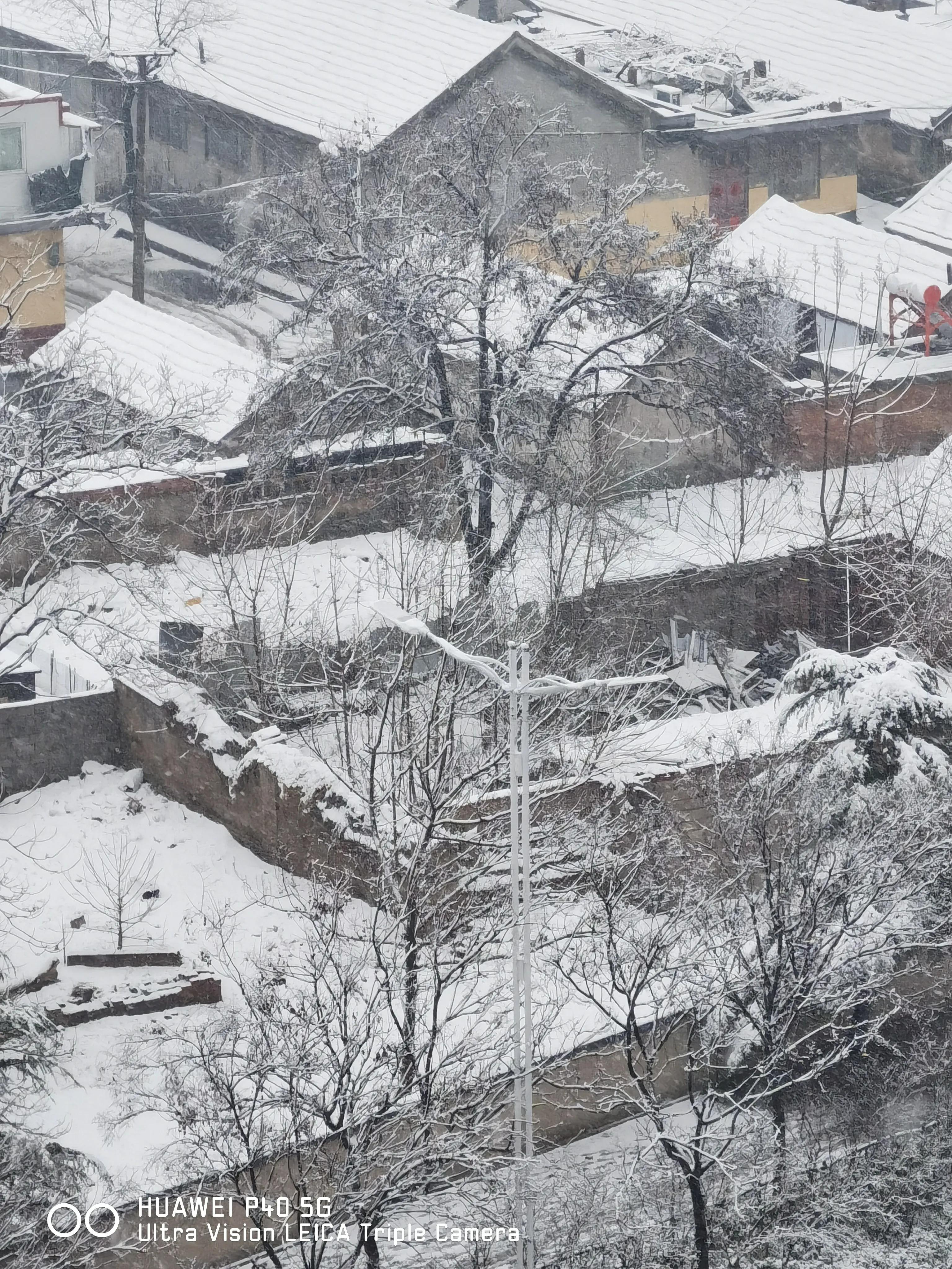 矮小的大哥外出闯荡终于成功了，把漂亮的大嫂娶回了家