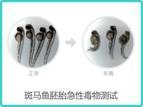 测18款美白精华，9款有效美白，但其中4款用了要出大问题？